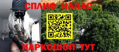 стаф Владимир