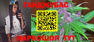 стаф Владимир