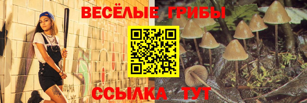 Псилоцибиновые грибы Psilocybine cubensis  Вход с VPN  Назрань  Галлюциногенные грибы Psilocybine cubensis 